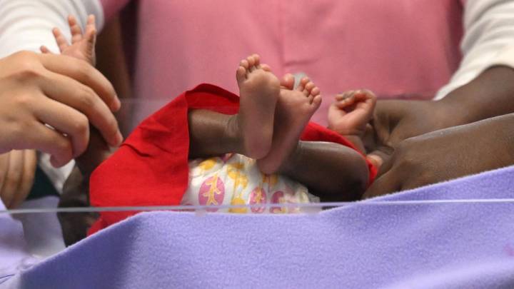 Number of births declines; deaths rise slightly: report