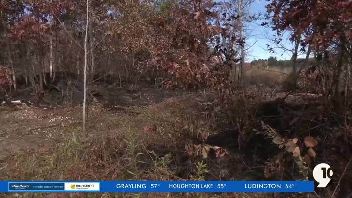 Benzie Road Fire contained after burning 101 acres of state land