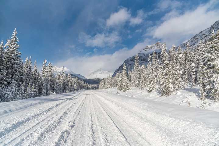 La Niña is forecast for winter in Alberta and cold outbreaks may hit