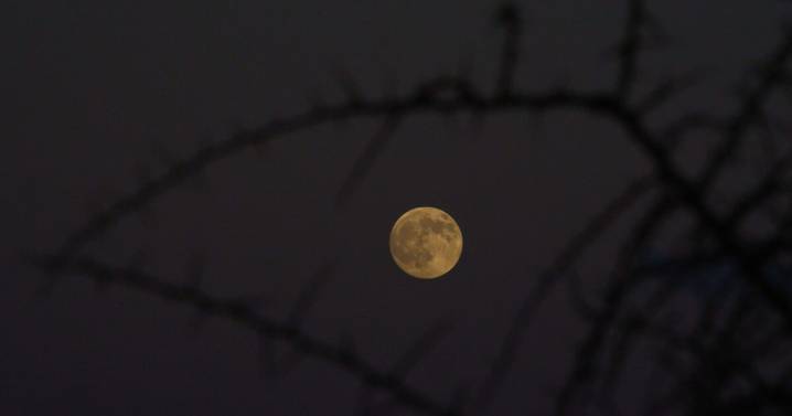 First supermoon of 2025 will light up the sky. Here’s when to look up