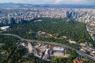 Pierde México 5 por ciento de bosques en los últimos 25 años