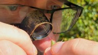Though small in size, insects are ecological giants