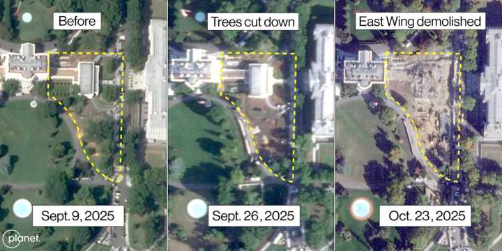 2 historic magnolia trees, Kennedy Garden appear to have been removed for WH ballroom
