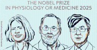 Premio Nobel de Medicina 2025 para Brunkow, Ramsdell y Sakaguchi