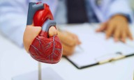 TCT Conference 2025: Here are Top 10 Global Leaders in Cardiovascular Research