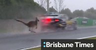 Kai Allen's '250km' near miss with kangaroo