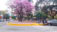 Se espera un domingo agradable y sin lluvia: así sigue el clima