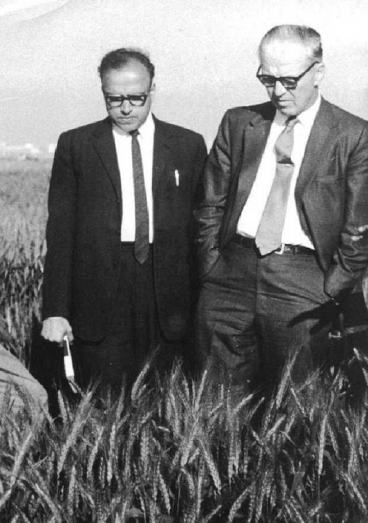 Seeds of change: Remembering MS Swaminathan, the architect of India’s Green Revolution
