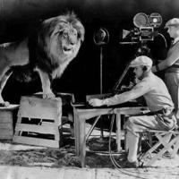 The luckiest lion in Tinseltown