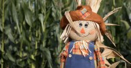 Spiritual Side: West Volusia fall festivals