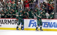 Summer Synopsis: Minnesota Wild