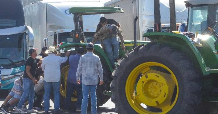 Pactan gobierno federal y productores de maíz apoyo de 950 pesos por tonelada