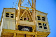 La restauración de la grúa Babcock & Wilcox se adjudica por 405.000 euros