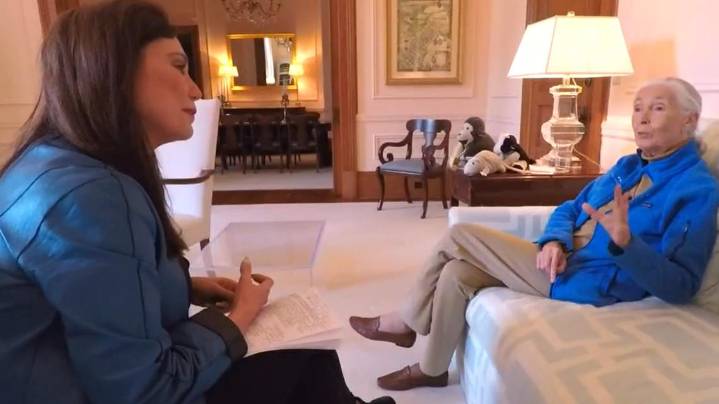 Jane Goodall dies at 91: Reflections on her visit to New Orleans