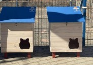 Agaete instala 20 refugios de gatos y avanza en la esterilización de las colonias