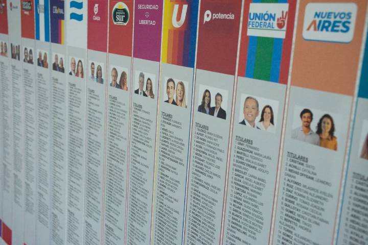 Apelación. La Libertad Avanza pidió ante la Cámara Nacional Electoral reimprimir 40.000 afiches con la cara de Santilli