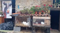 Cuadras vacías y silencio en la casa del ganadero asesinado en Ribadesella: la vida de los animales estaba "comprometida"
