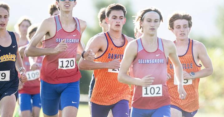 Danville teams sweep quad