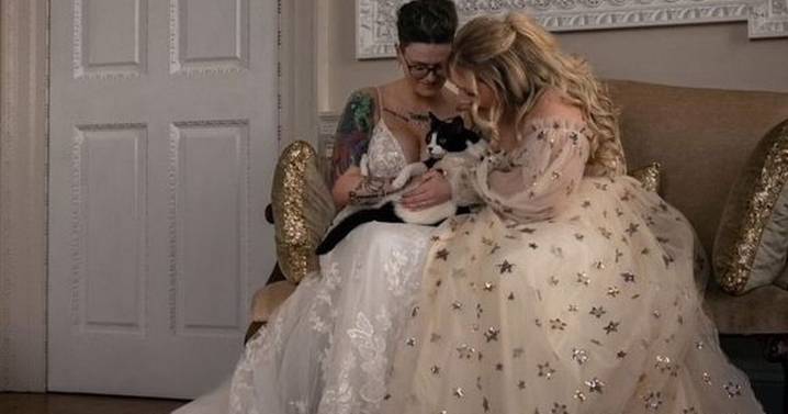Couple celebrate love - and their cat - during wedding at Chatelherault Country Park