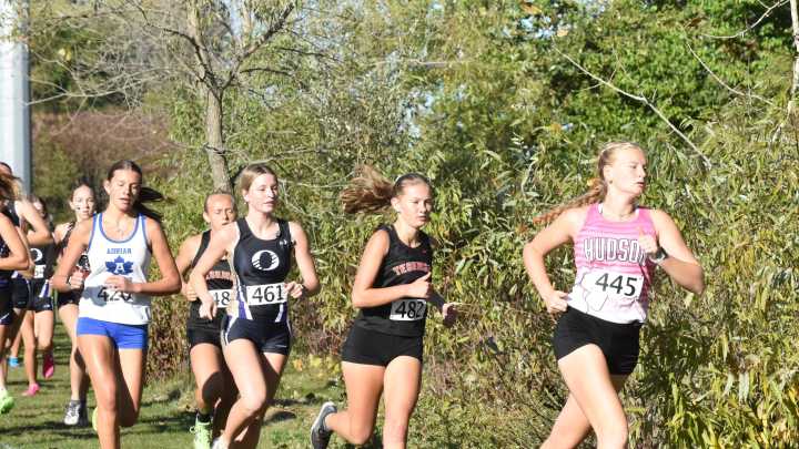 PHOTOS: Images from Saturday's Lenawee County Cross County title