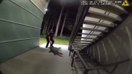 Officers capture gator found lounging at Orlando apartment complex 