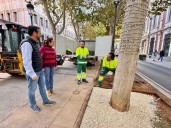 Remodelan el ajardinamiento del Paseo de la Libertad