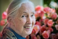 Jane Goodall, environmental advocacy, has died at 91