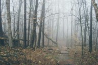 One of the Most Haunted Forests in the World Exists in Maine