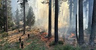 Smoke from pile burning at Bucks Lake may affect Quincy drivers