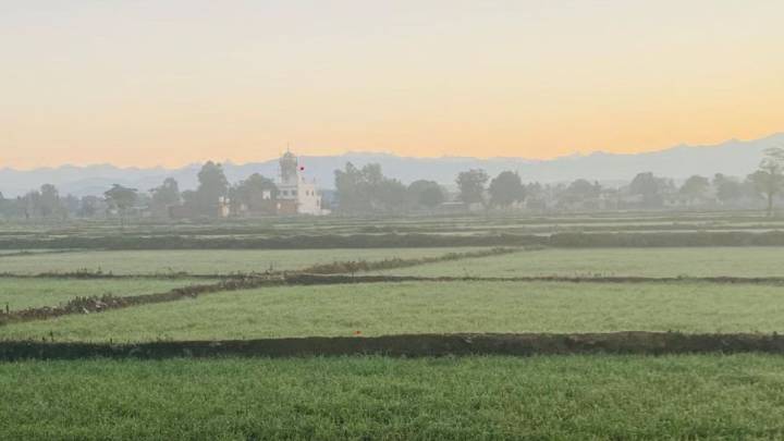 Why Punjab deserves a healing touch from Centre