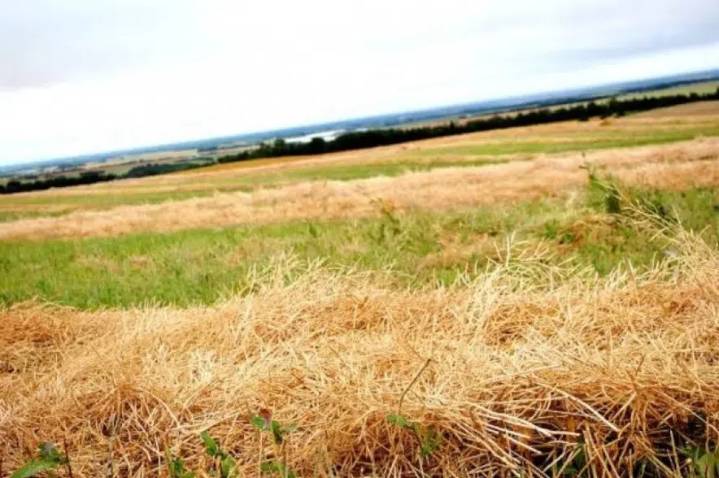 Pause extended indefinitely for Sask. Crown land sales
