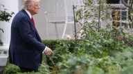 "No creo que ayude a ninguna de las partes": surgen preocupaciones en la órbita de Trump por el cierre del Gobierno