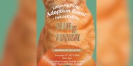 TN animal shelter hosting listening party, adoption event to celebrate Taylor Swift’s new album