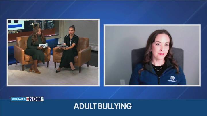 Adult bullying on the rise: Experts push for awareness and prevention