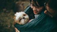 El gasto en mascotas se dispara y alcanza los 165 euros al mes