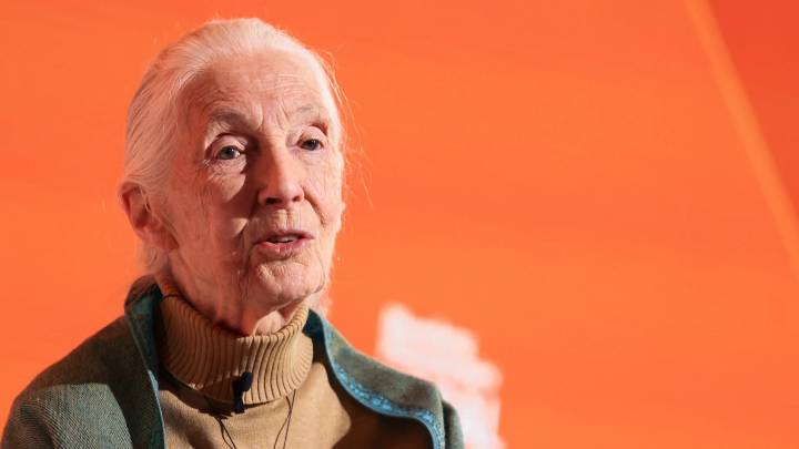 Jane Goodall, wildlife advocate and primate expert, dies at 91