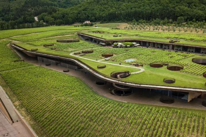 Winemakers in Chianti Classico continue to impress with great value red wines