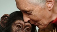Opinion: Jane Goodall helped humans understand their place in the world : NPR