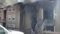 One pet killed, several rescued in Winston