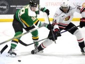 Toronto Maple Leafs prospect Harry Nansi bigger and better