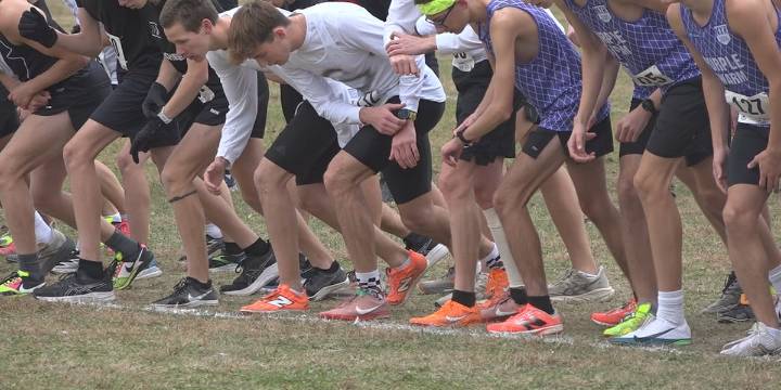 JV state cross country meet quadruples number of runners from last year