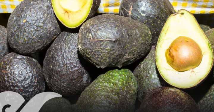 Erradican en Puebla el gusano barrenador del hueso de aguacate