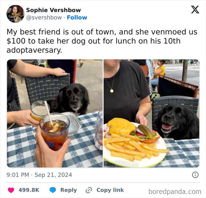 39 Hilarious Things People Posted On X In September