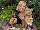 Pet CHEK: Toddler puppies Ghost and Soul are looking for love