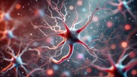 Researchers Image The Toxic Molecules That Drive Parkinson’s Disease For The First Time