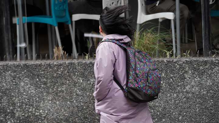 El tiempo en Rosario: se viene un martes ventoso, con nubes y calor