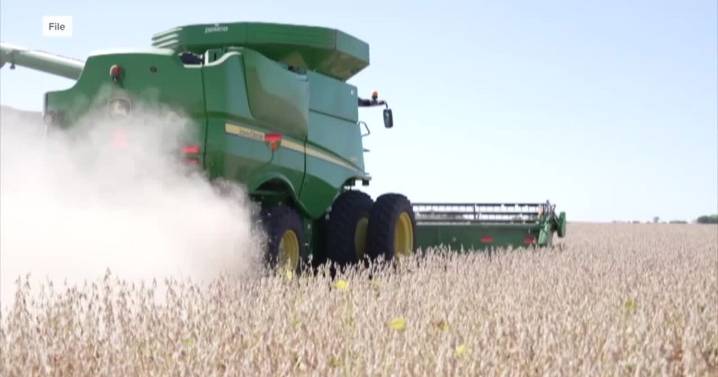 Farmers face challenges as trade policies threaten agricultural profits