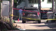 MPD releases video after woman struck, killed by squad responding to welfare check