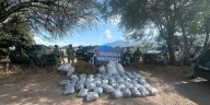 Aseguran media tonelada de marihuana en bolsas de basura en Jalisco