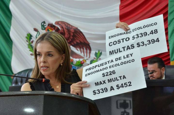 Pone diputada Xóchitl Contreras freno al negocio del engomado ecológico